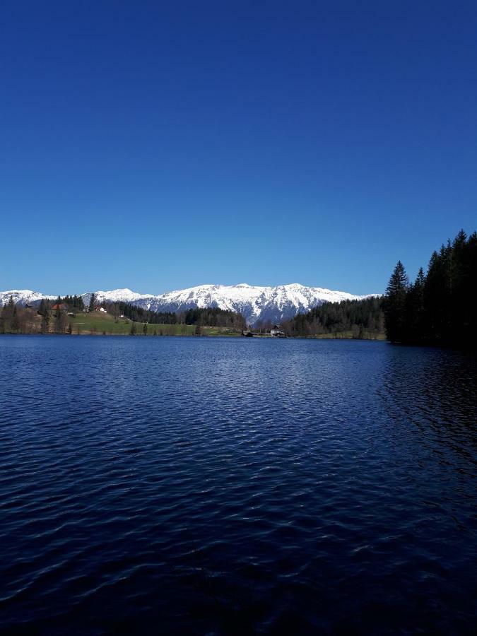 Ferienbungalow Mountain View Wood Spital Am Pyhrn Exterior foto