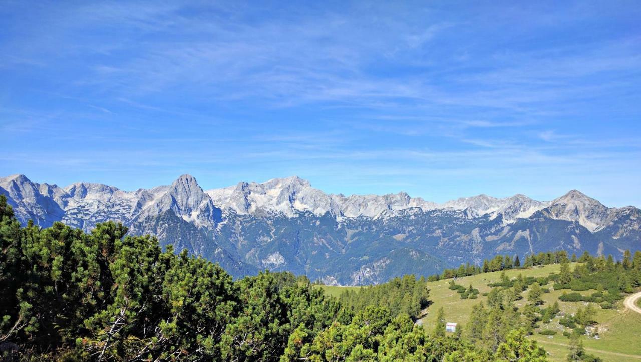 Ferienbungalow Mountain View Wood Spital Am Pyhrn Exterior foto